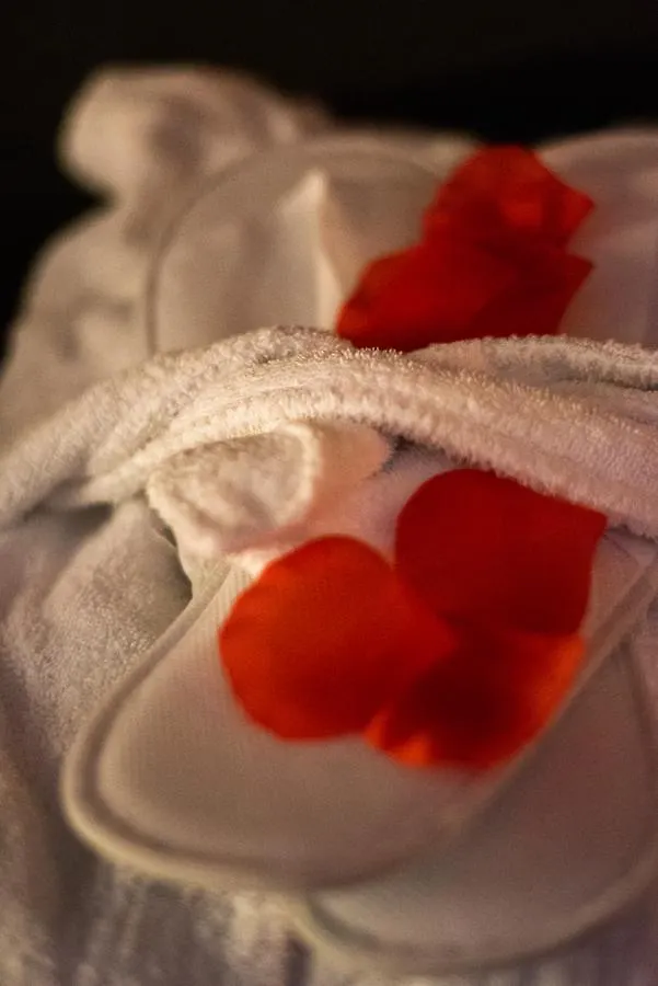 Borgofico Relais & Wellness Hotel Rome Guest house